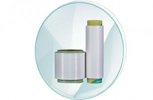 OEM/ODM Manufacturer 30d Nylon 6 High Tenacity Fdy Yarn - Nylon 6 Anti-bacterial  – HSCC