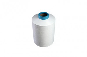 monofilament nylon yarn Manufacturer –   Nylon 6-Conventional Filament Nylon 6 ATY  – HSCC